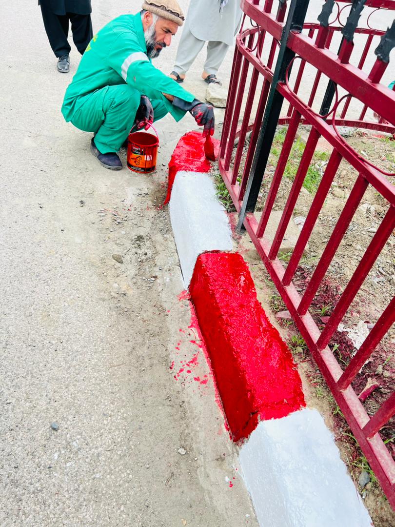 رنگ آمیزی